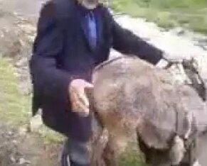 Азиялық лесбияндық фильмдер