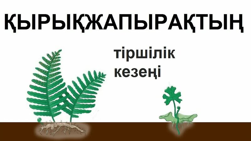 Ең жақсы xxxl порно