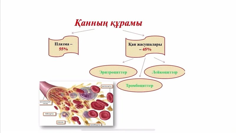 Көшеде кездейсоқ секс бейнеленген орыс порносын қараңыз.