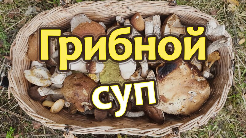 Как приготовить грибной суп из сушёных лесных грибов? Вкусный и простой ...