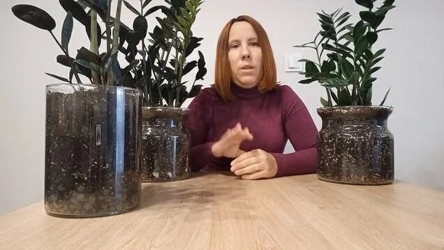 Грунт для Замиокулькаса. Состав и Пропорции. Правильный грунт - залог ...