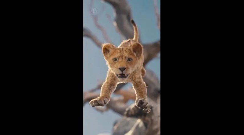 Жыныстық қатынас кезінде қыздың аяғы дірілдеген порно видео