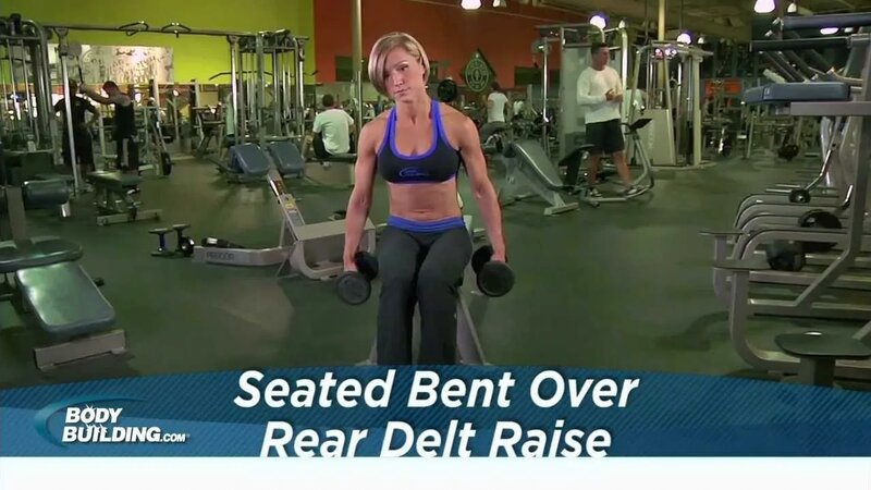 Seated dumbbell rear delt raise sale