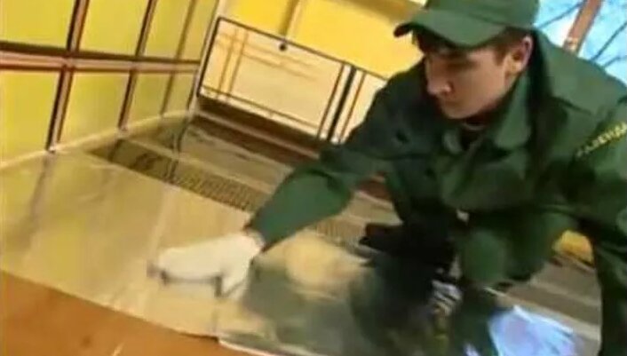 Теплый пол под ковролин: Как быстро смонтировать теплый пол под ...