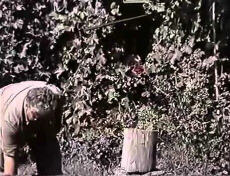 Каменное масло: отзывы врачей, применение, лечебные свойства - Смотреть ...