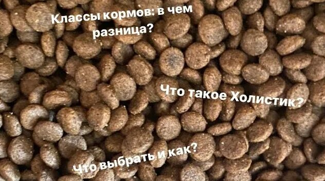 Чем отличаются корма эконом, премиум и суперпремиум классов? Что такое ...