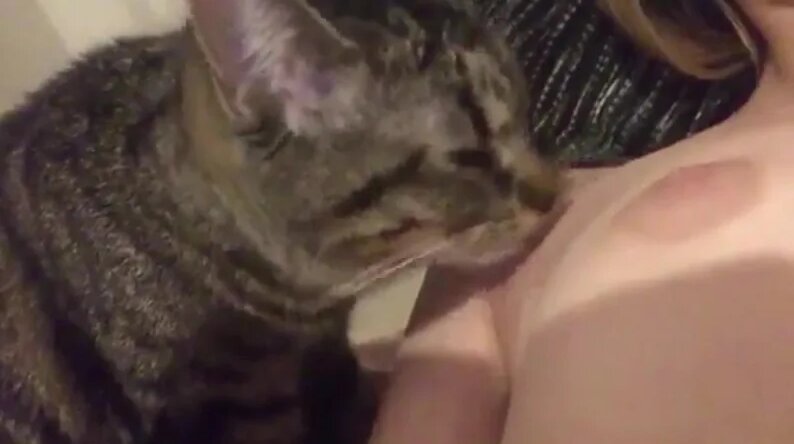 Желідегі тобырлық порно