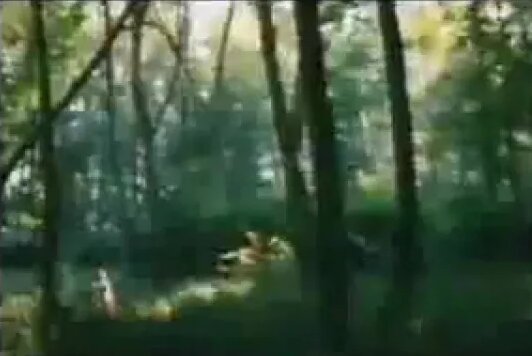 Біреудің əйелін былғау