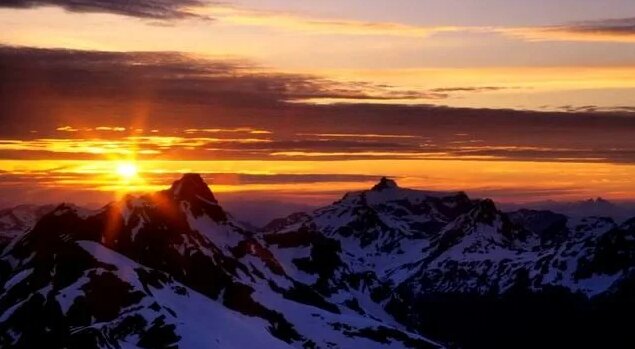 группа энималс дом восходящего солнца