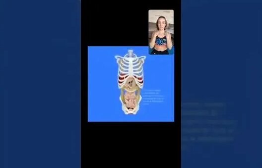 работа с грудобрюшной диафрагмой