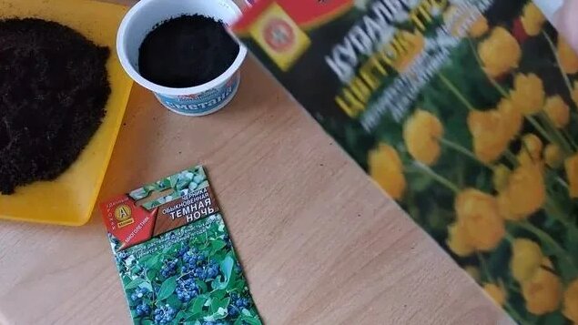 Как #стратифицировать #семена в домашних условиях - Смотреть онлайн в ...