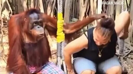 Томпақ әйелімен жыныстық қатынас