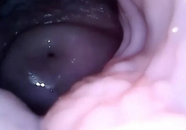 Rossiyalik porno aktrisa uchun Oskar