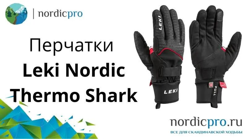 Перчатки Leki Nordic Thermo Shark для тренировок зимой - Смотреть ...