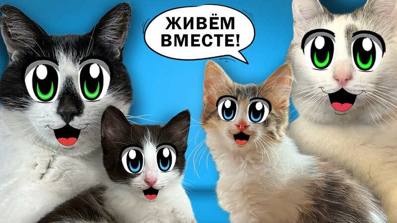 Ну Ка Покажи Картинки - Mixyfotos.ru