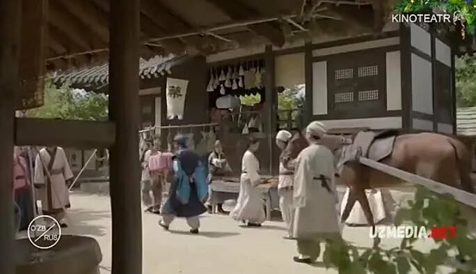 Tukli mushukli onalar jinsiy aloqa qilishni xohlashadi