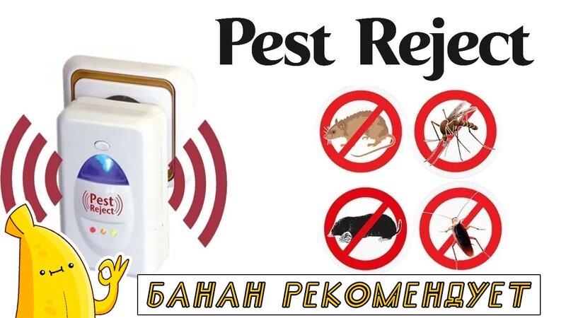 Pest Reject отзывы. Отпугиватель мышей и насекомых Pest Reject. Купить ...