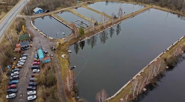 Ловля радужной форели / Лучшие блесны на форель - Смотреть онлайн в ...