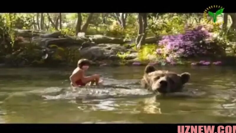 Eski eshak ichida porno