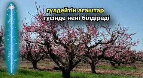 Бұзылған пойыздардың суреттері