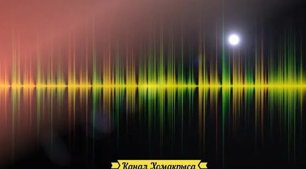 Ультразвук от мышей и крыс Мощный отпугиватель грызунов!!! Как ...