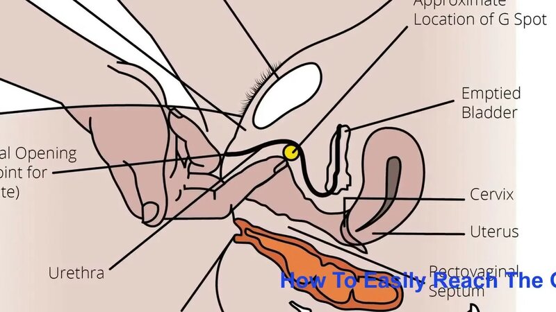 Anal jinsiy aloqada bolgan yigitlar haqida video