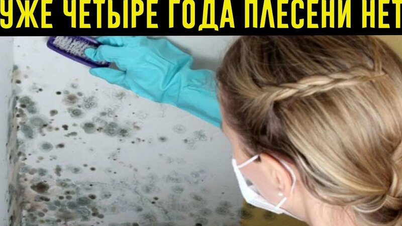 ЭТО Чистящее Средство Убивает ВСЮ Плесень! Как избавиться от Плесени ...