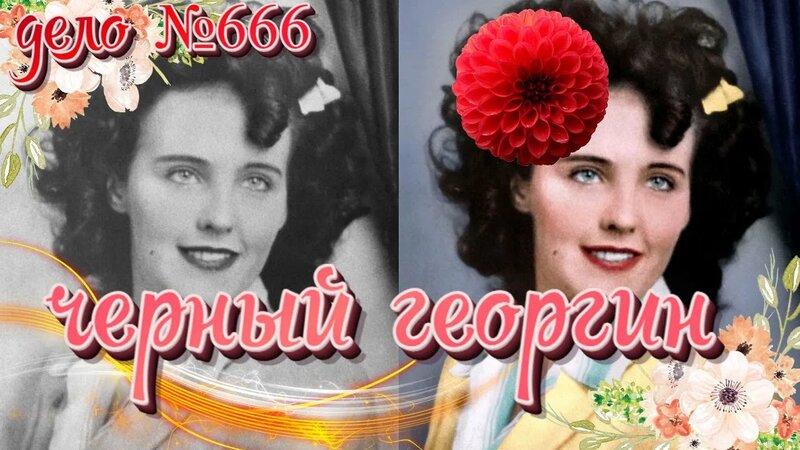 Элизабет Шорт. Дело №666. Черный Георгин. Фильм от Crime Zona. Black ...
