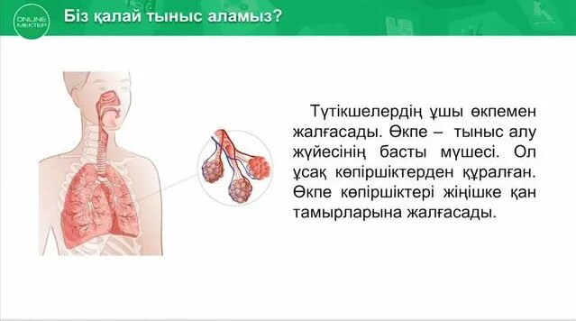 Порно анасы баласын нашар бағалары үшін жазалайды