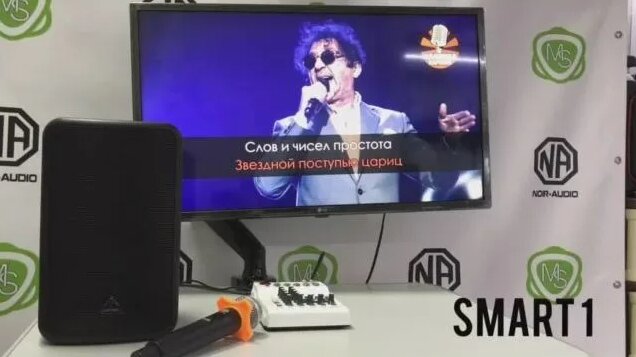 Караоке комплект для онлайн караоке с микрофонами NOIR-audio UM-100 и ...