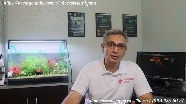 Домашний аквариум для гуппи. часть 5. первые водоросли. настройка ...