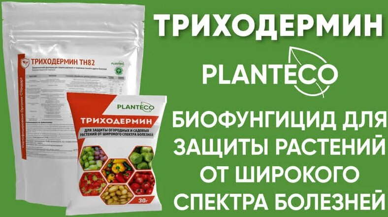 Триходермин TH82 Planteco® - биофунгицид для защиты растений от грибных ...