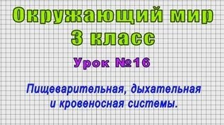 Окружающий мир 3 класс (Урок№16 - Пищеварительная, дыхательная и ...