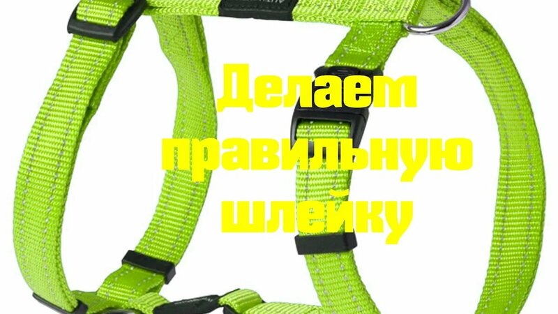 Как сделать правильную шлейку для собаки!
