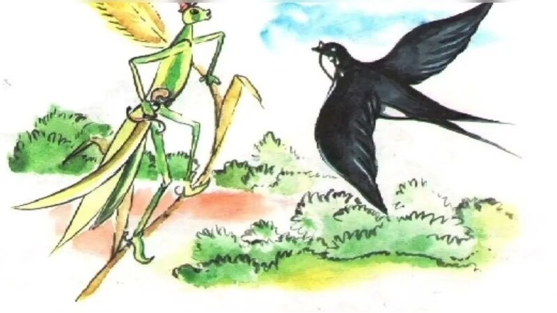 Әйелдер порносының фотосуреттері