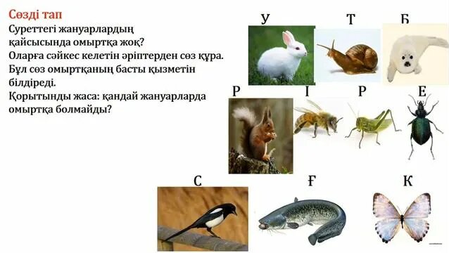 Порно жұлдыз және қарапайым жігіт