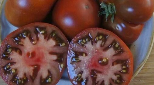 Коллекция томатов. Сорт Спящая леди, проект Гном. Sleeping Lady ...