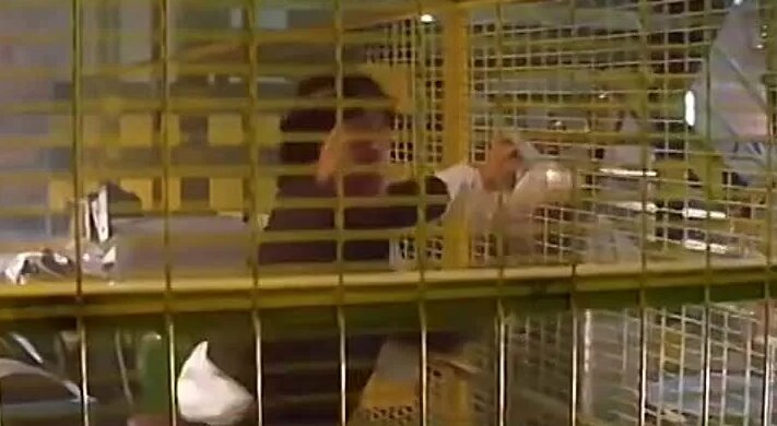 Догги стилінде жалаңаш әдемі қыздар