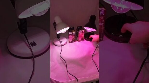 Фитолампы и фитосветильники с полным спектром и красно-синим разница в ...