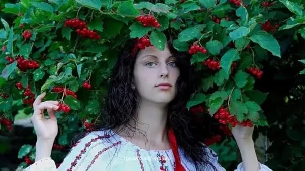 Трио Маренич.Чом ти не прийшов. - Смотреть онлайн в поиске Яндекса по Видео