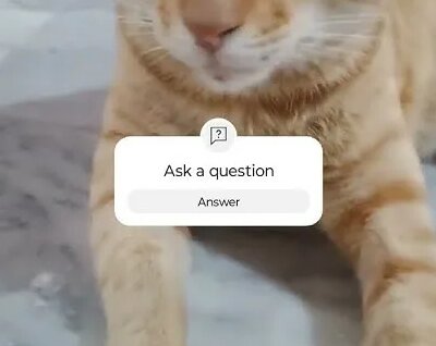 Yandex video arama