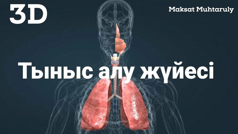 Қатты ресейлік әйелдердің үйдегі порнофотосуреттері