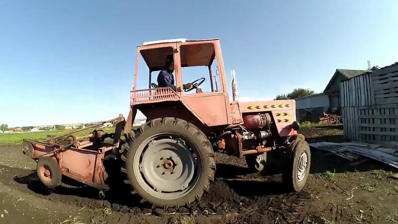 Картофелекопалка для трактора т-25. Копаем картошку.