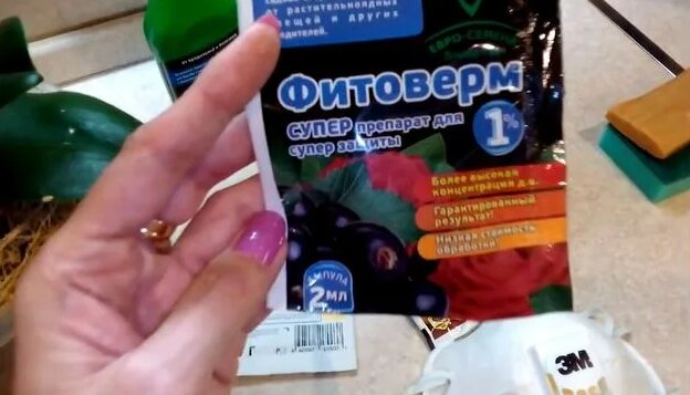Мучнистый червец:как избавиться от мучнистого червеца на 100% за одну ...