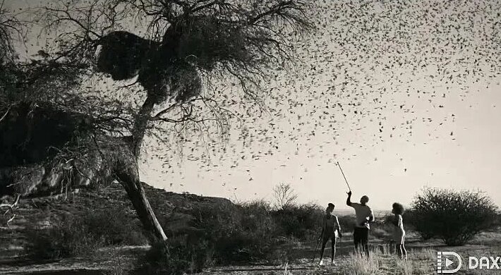 Mumning mushukdagi fotosurati