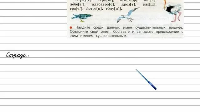 Речевые упражнения по английскому языку примеры