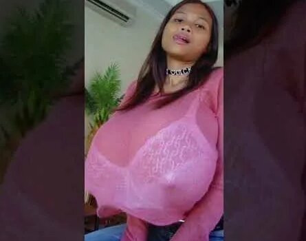 Yetuk ayollar mushuklarining yaqindan suratlari