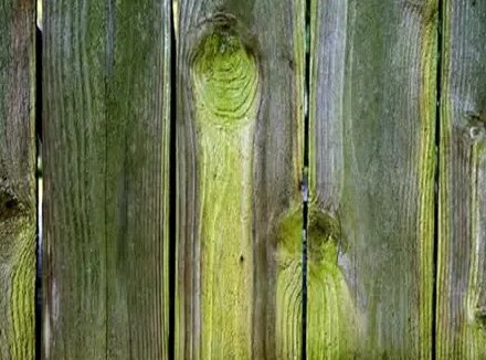 Сектор Газа Зеленая Ограда - Смотреть онлайн в поиске Яндекса по Видео