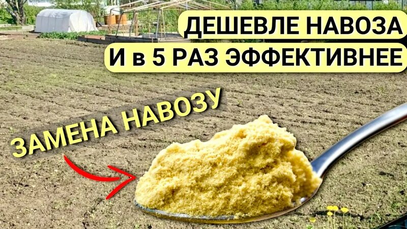 2. Процесс компостирования