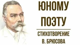 Yandex video arama